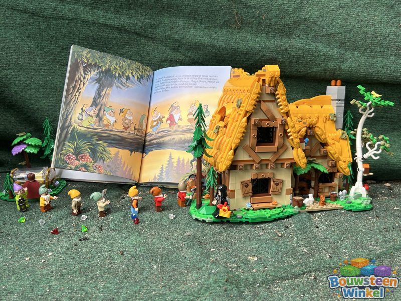 LEGO Disney Huisje van Sneeuwwitje en de zeven dwergen - 43242 gebouwd door klant — Disney