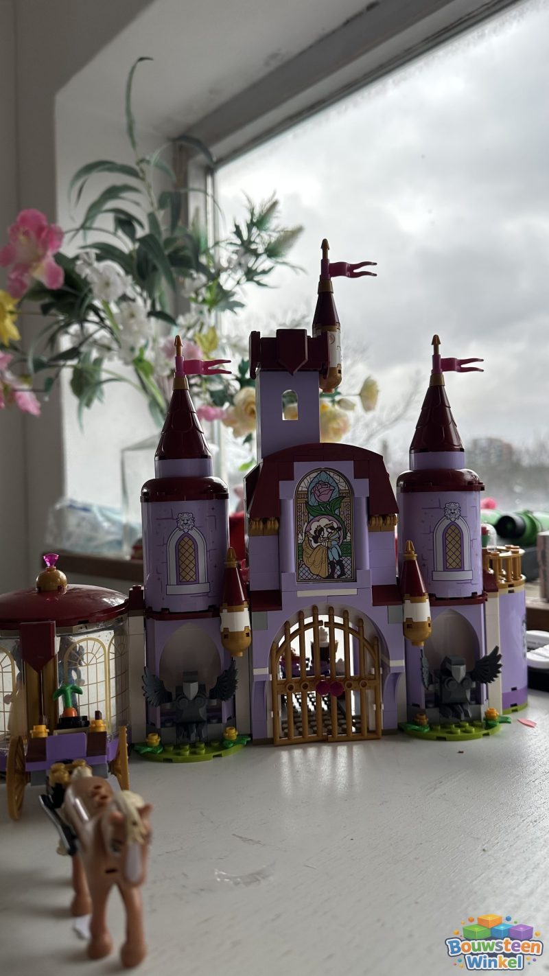 LEGO 43196 gebouwd door klant — Disney
